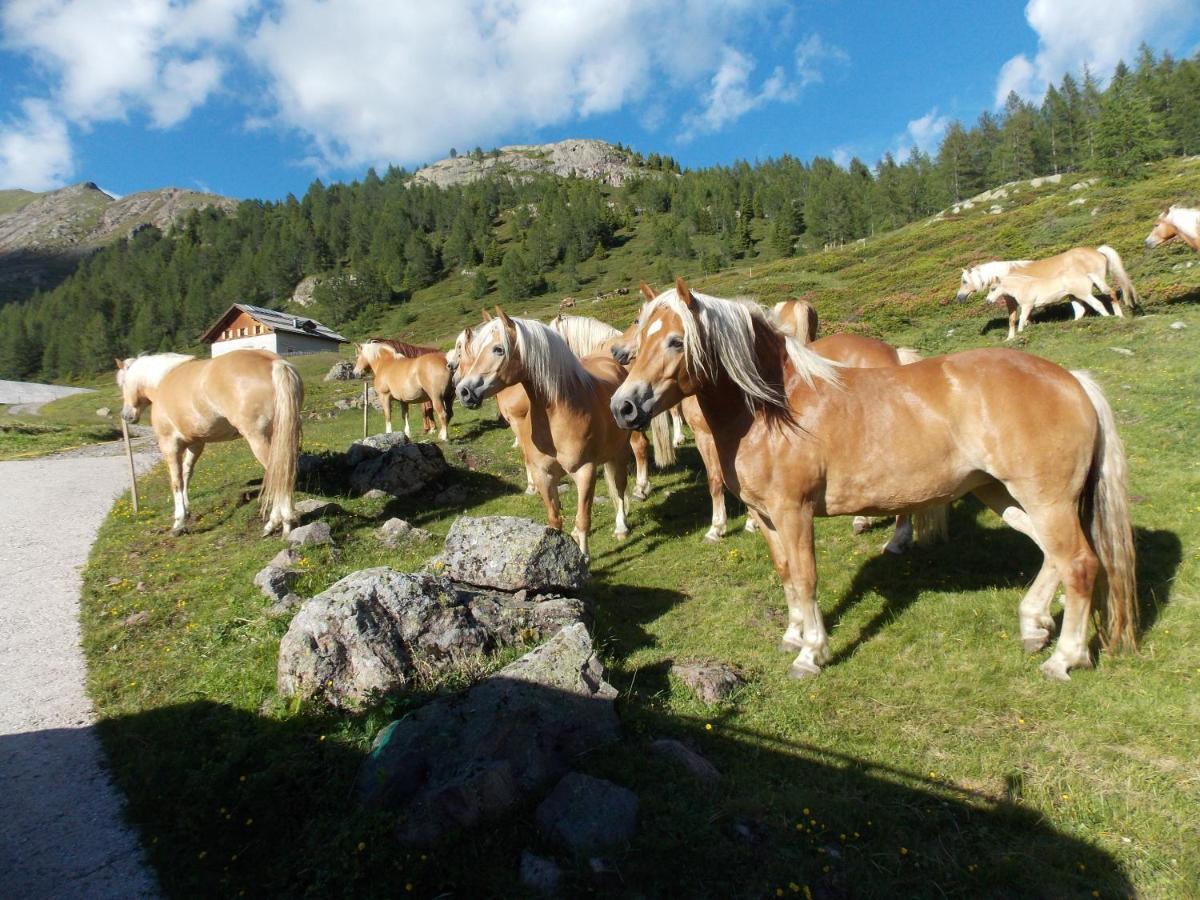 Appartamento Casa Streberi Castelfondo Esterno foto