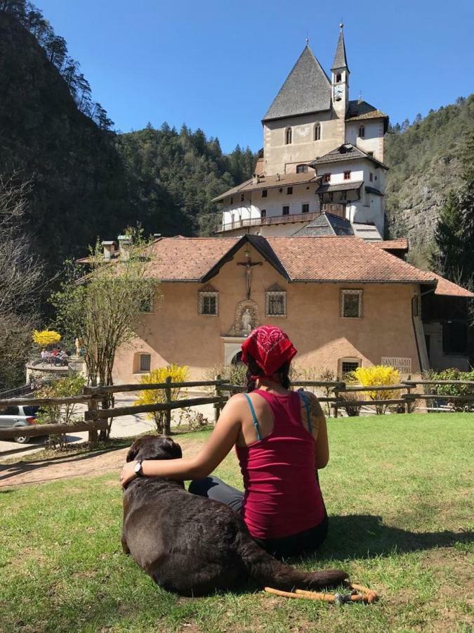 Appartamento Casa Streberi Castelfondo Esterno foto